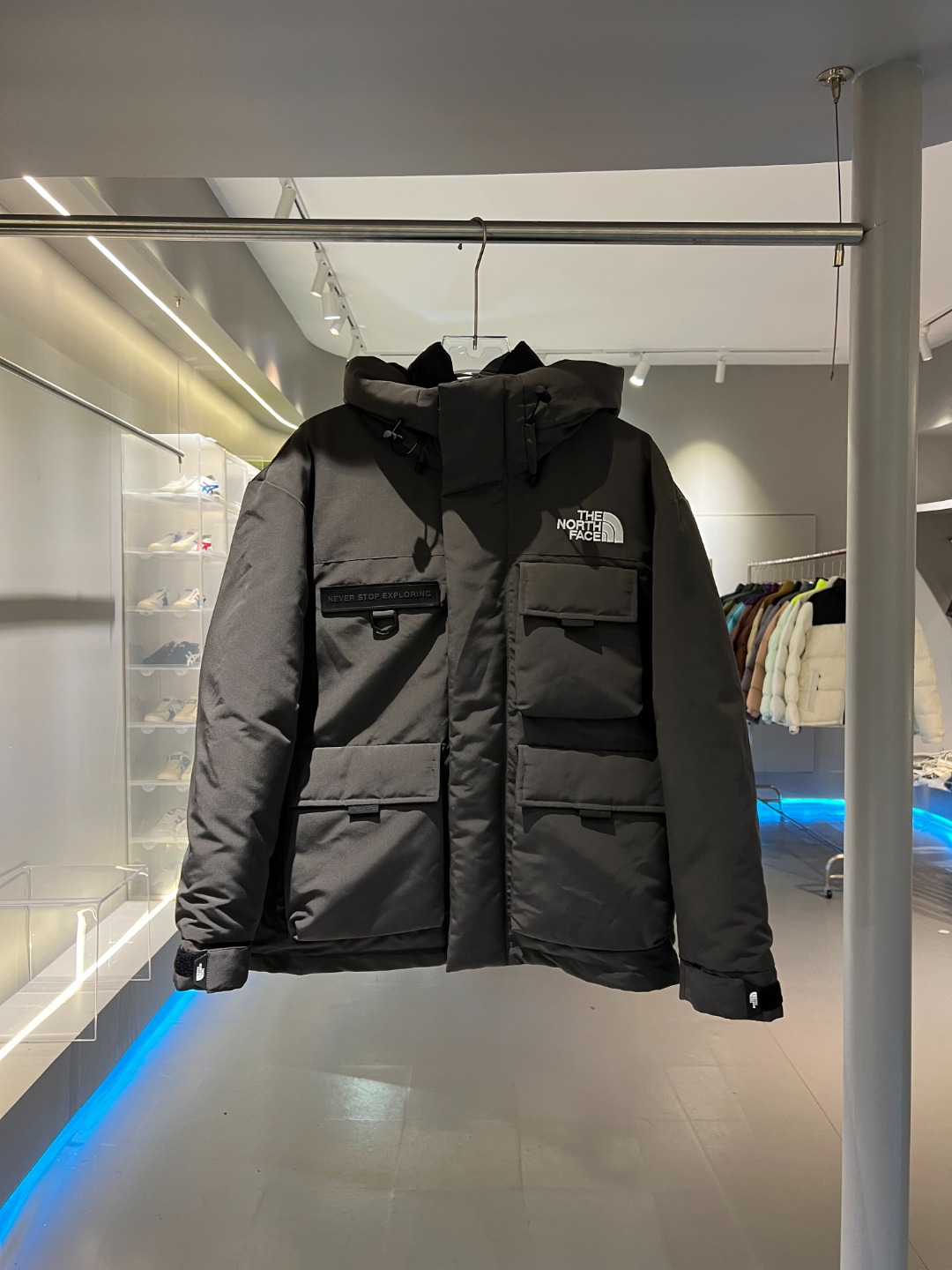 The North Face Down Jackets